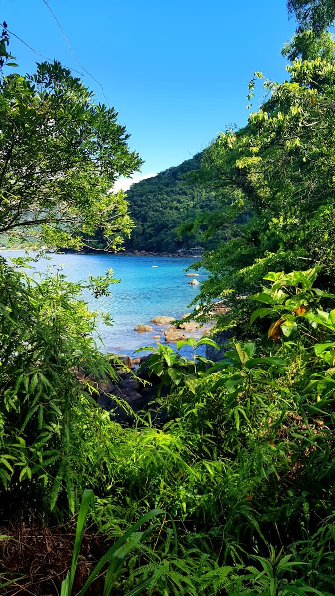 Ubatuba / Brasil