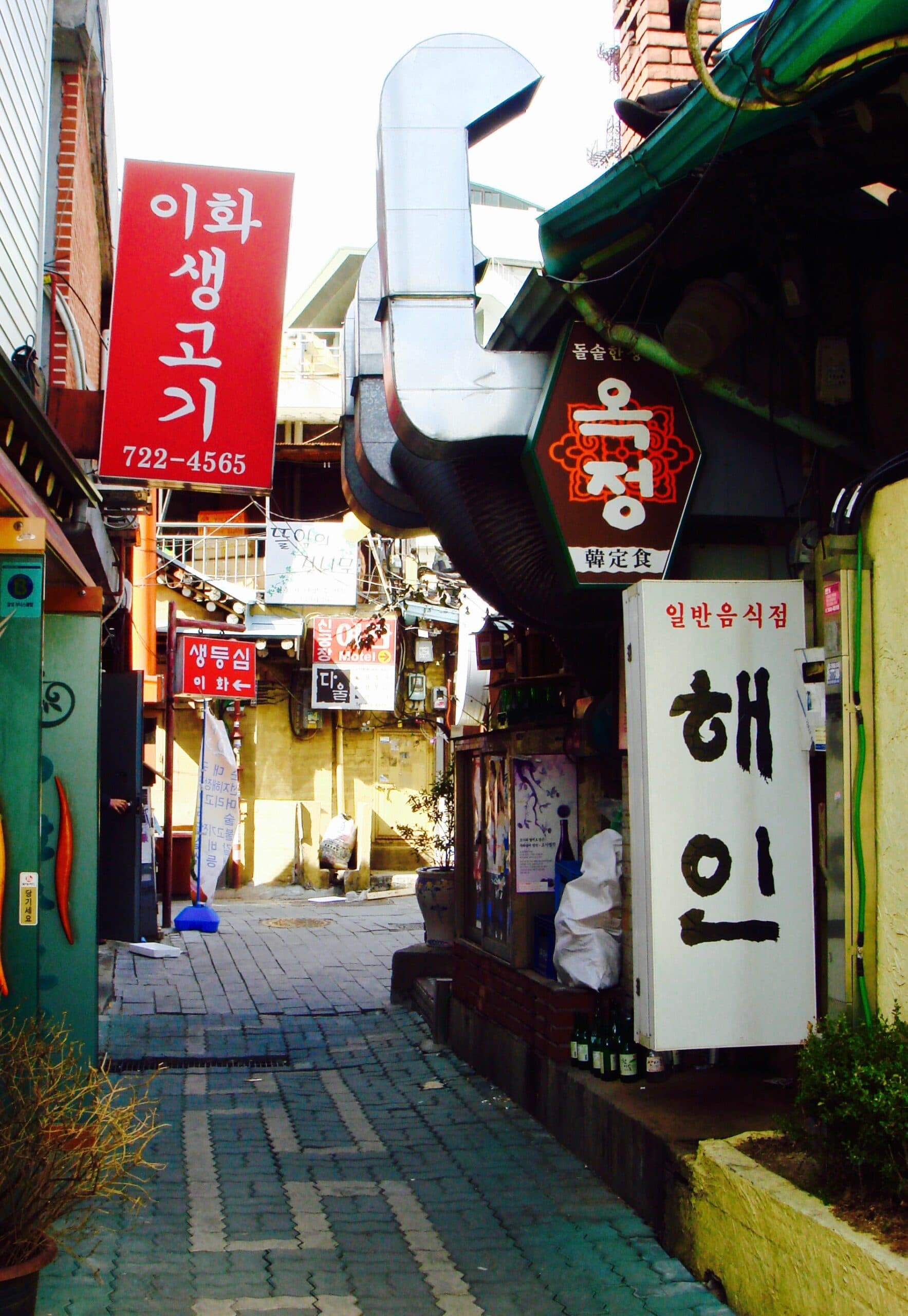 Life@55 & Korean Language