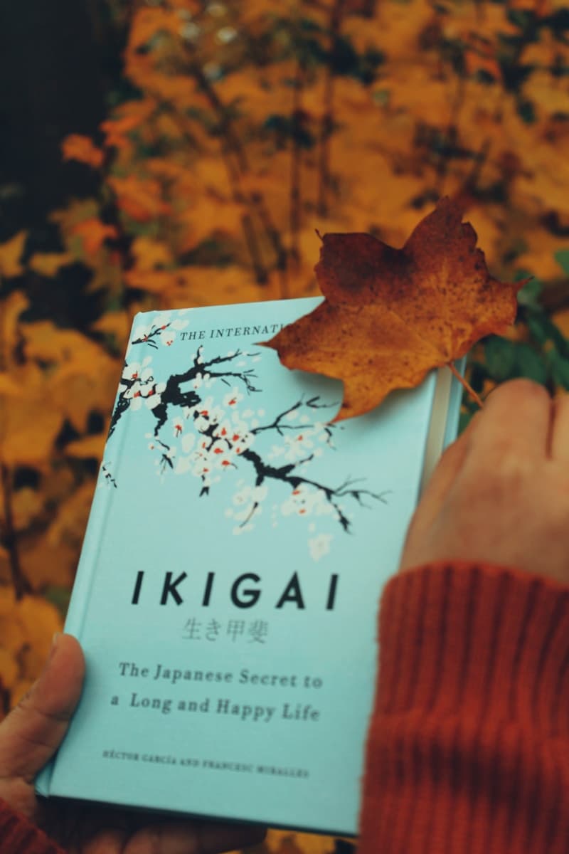 Ikigai
