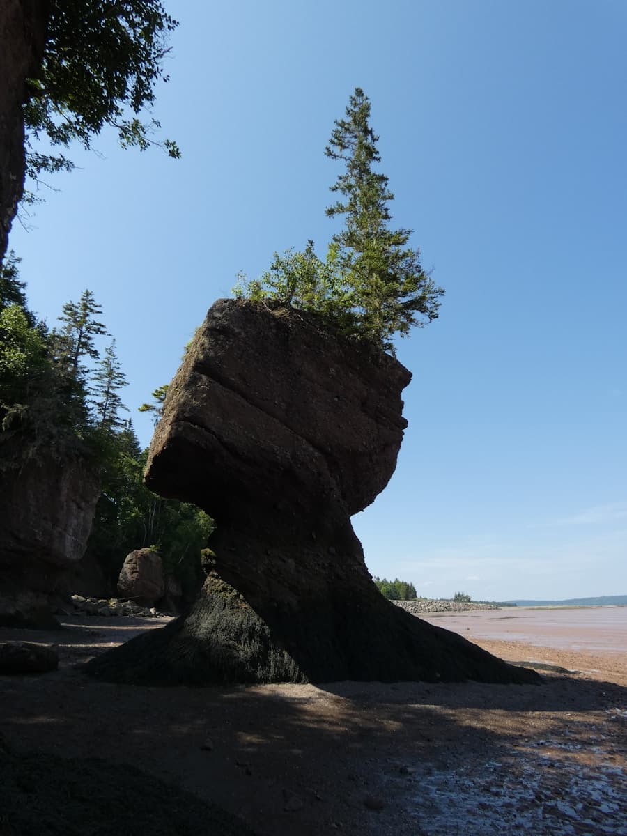 Hopewell Rocks / New Brunswick